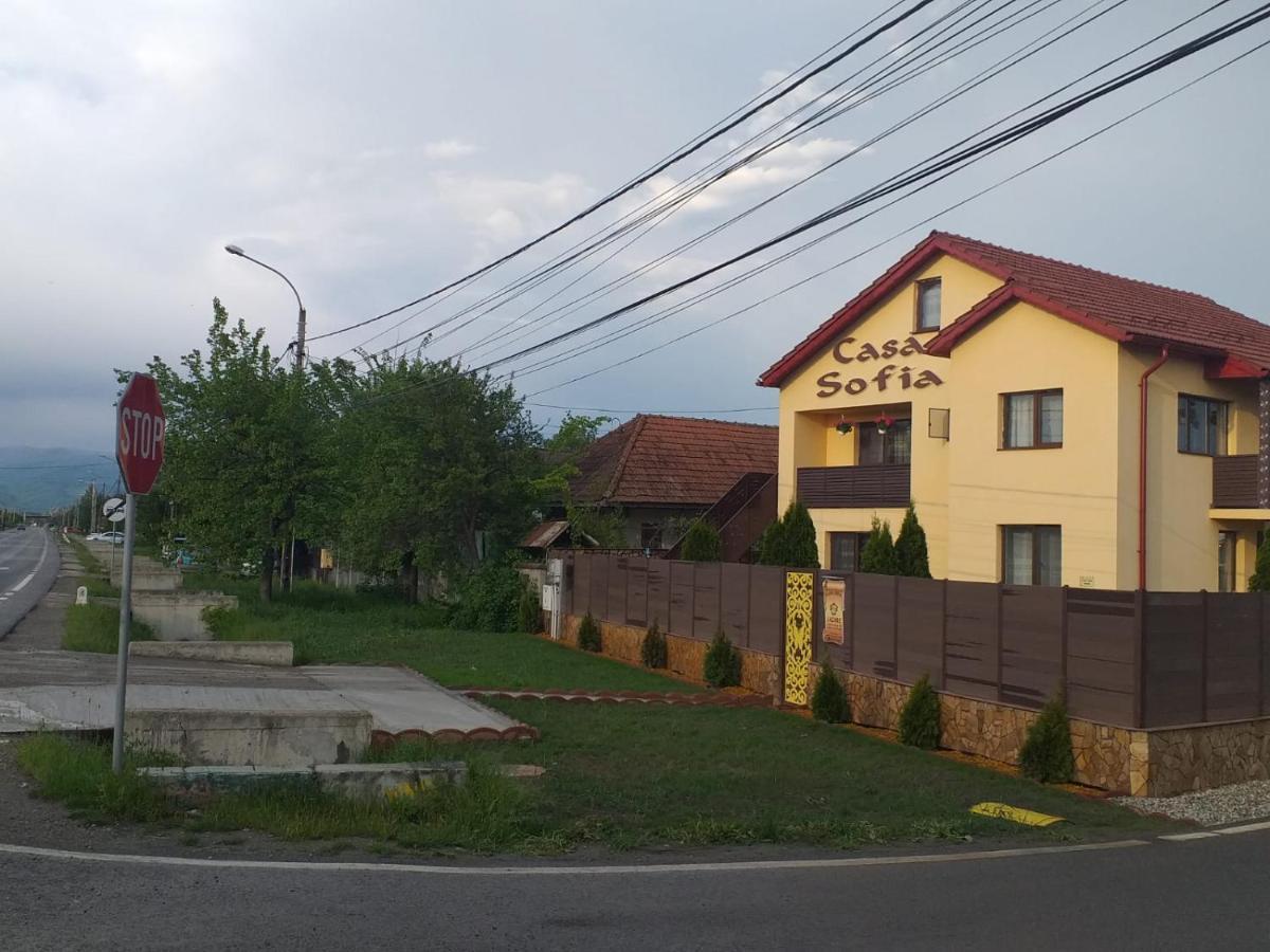 Отель Casa Sofia Тыргу-Жиу Экстерьер фото
